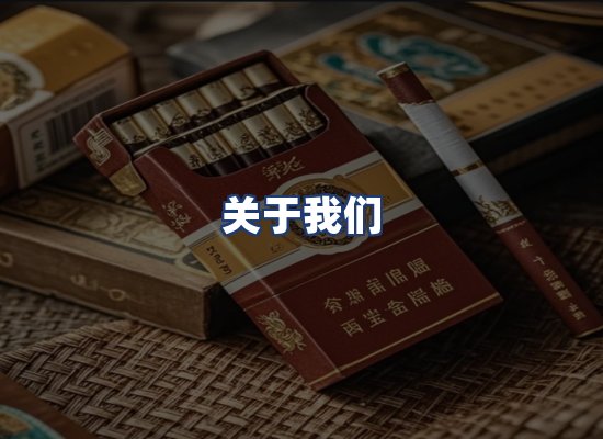 关于我们